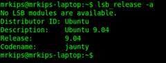 lsb_release_ubuntu
