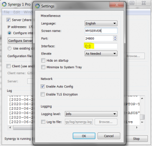 synergy server settings